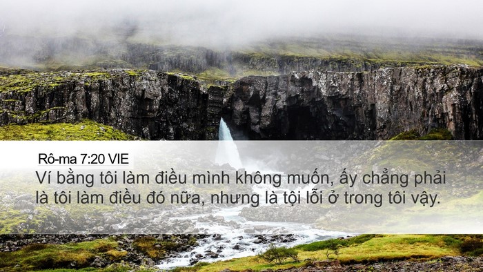 Rô-ma 7:20 VIE Bible Verse Image