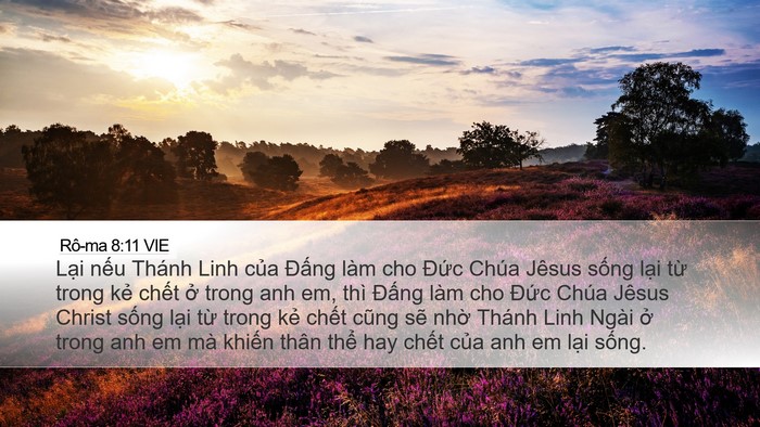 Rô-ma 8:11 VIE Bible Verse Image