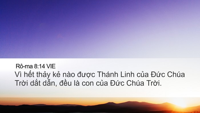 Rô-ma 8:14 VIE Bible Verse Image