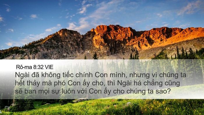 Rô-ma 8:32 VIE Bible Verse Image