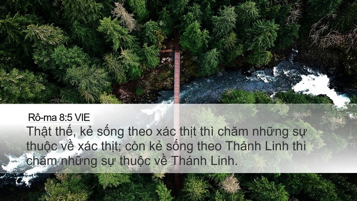 Rô-ma 8:5 VIE Bible Verse Image