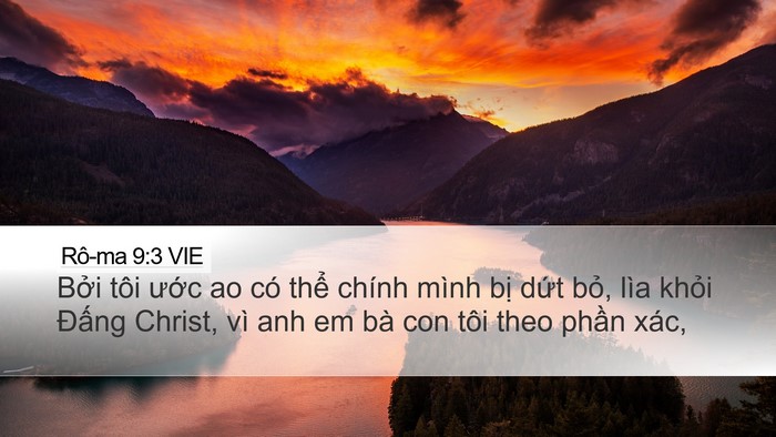 Rô-ma 9:3 VIE Bible Verse Image
