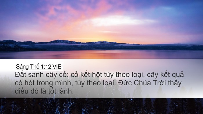 Sáng Thế 1:12 VIE Bible Verse Image