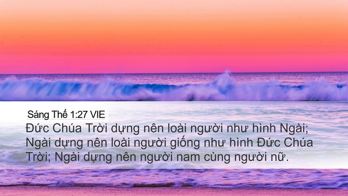 Sáng Thế 1:27 VIE Bible Verse Image