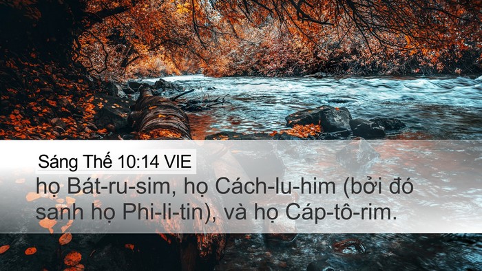 Sáng Thế 10:14 VIE Bible Verse Image