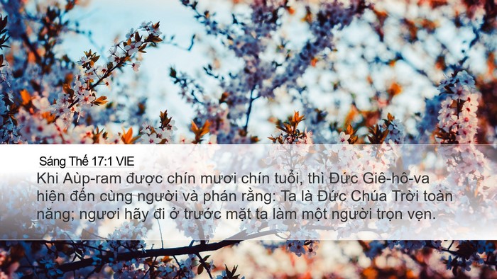 Sáng Thế 17:1 VIE Bible Verse Image