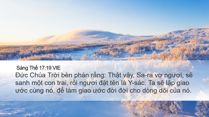 Sáng Thế 17:19 VIE Bible Verse Image