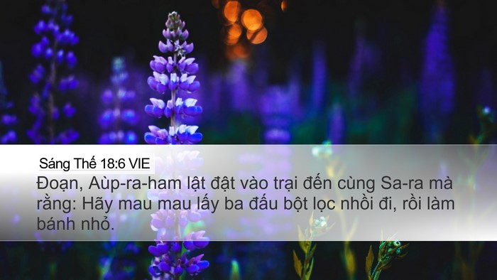 Sáng Thế 18:6 VIE Bible Verse Image