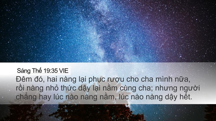 Sáng Thế 19:35 VIE Desktop Wallpaper - Đêm đó, hai nàng lại phục rượu cho - Desktop Bible Verse Wallpaper