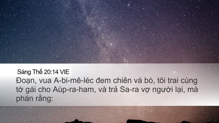 Sáng Thế 20:14 VIE Desktop Wallpaper - Đoạn, vua A-bi-mê-léc đem chiên và bò, - Desktop Bible Verse Wallpaper