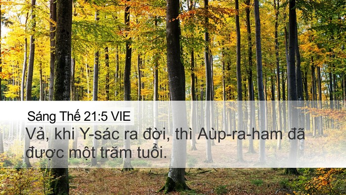 Sáng Thế 21:5 VIE Bible Verse Image