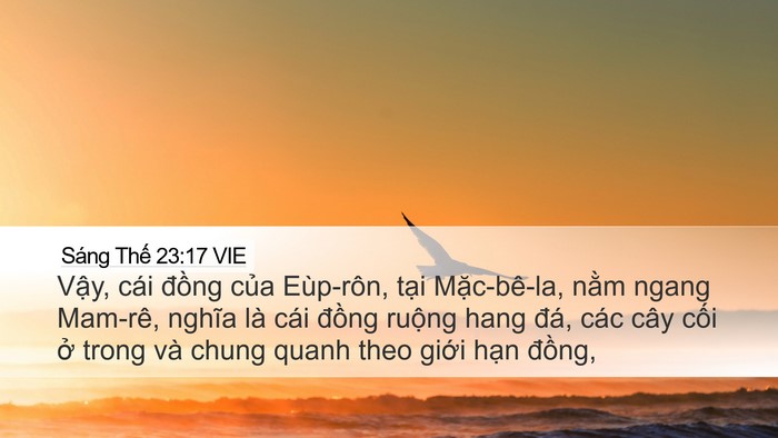 Sáng Thế 23:17 VIE Bible Verse Image