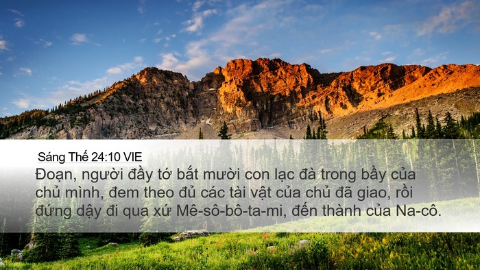 Sáng Thế 24:10 VIE Bible Verse Image