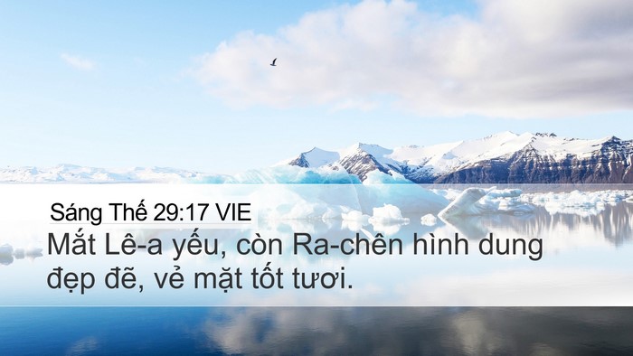 Sáng Thế 29:17 VIE Bible Verse Image