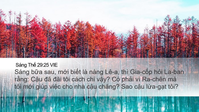Sáng Thế 29:25 VIE Bible Verse Image