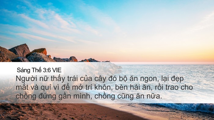 Sáng Thế 3:6 VIE Bible Verse Image