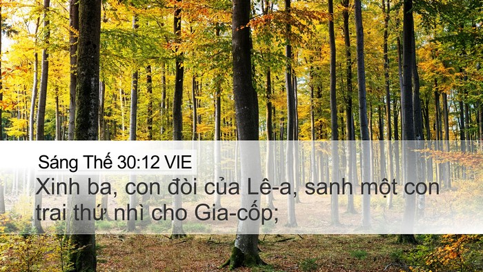 Sáng Thế 30:12 VIE Bible Verse Image