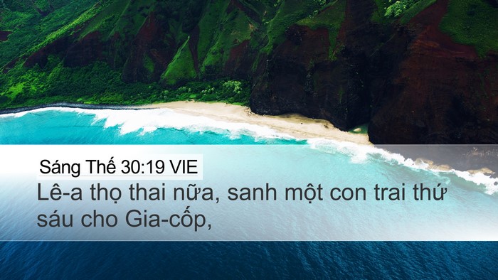 Sáng Thế 30:19 VIE Bible Verse Image
