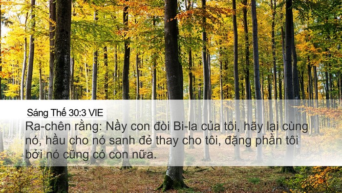 Sáng Thế 30:3 VIE Bible Verse Image