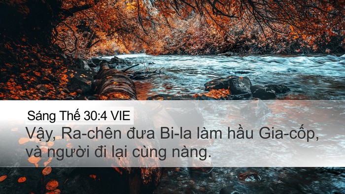 Sáng Thế 30:4 VIE Bible Verse Image