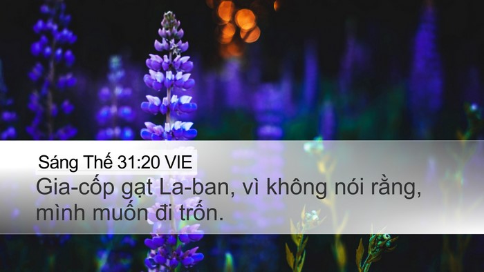 Sáng Thế 31:20 VIE Bible Verse Image