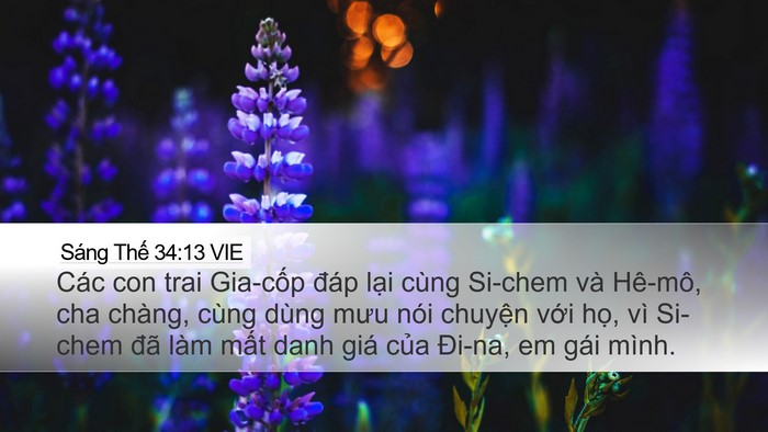 Sáng Thế 34:13 VIE Bible Verse Image