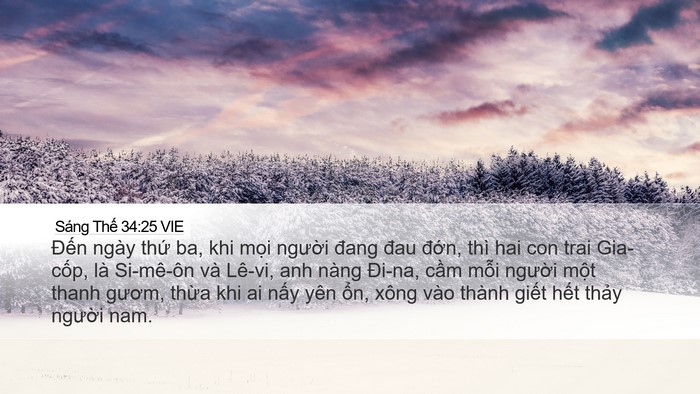 Sáng Thế 34:25 VIE Bible Verse Image