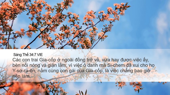 Sáng Thế 34:7 VIE Bible Verse Image