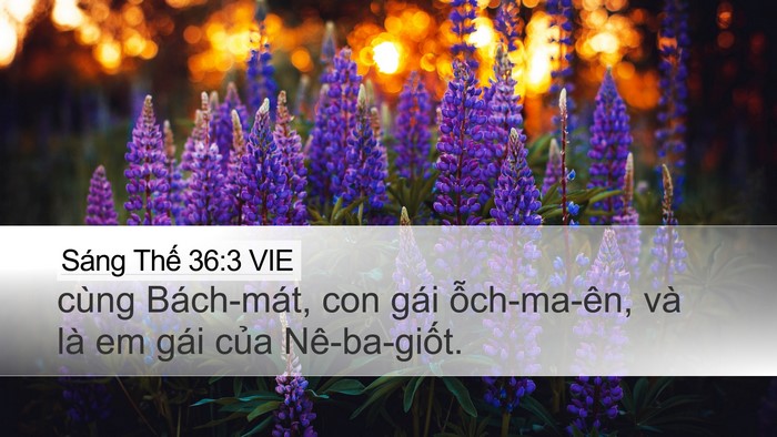 Sáng Thế 36:3 VIE Bible Verse Image