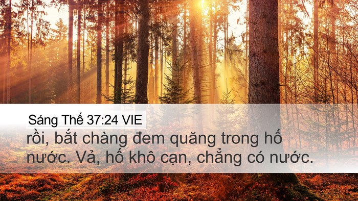 Sáng Thế 37:24 VIE Bible Verse Image