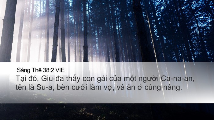 Sáng Thế 38:2 VIE Bible Verse Image