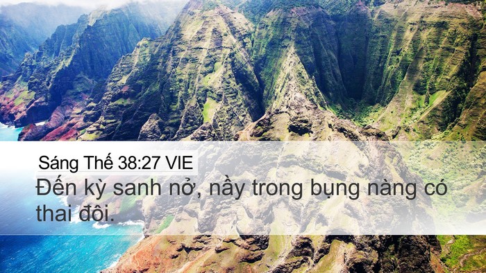 Sáng Thế 38:27 VIE Desktop Wallpaper - Đến kỳ sanh nở, nầy trong bụng nàng - Desktop Bible Verse Wallpaper