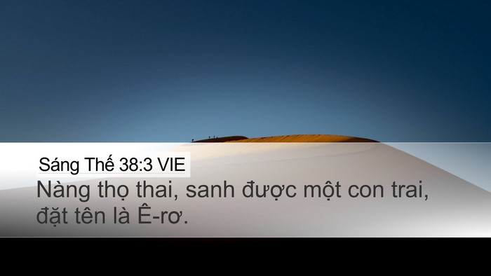 Sáng Thế 38:3 VIE Desktop Wallpaper - Nàng thọ thai, sanh được một con trai, - Desktop Bible Verse Wallpaper