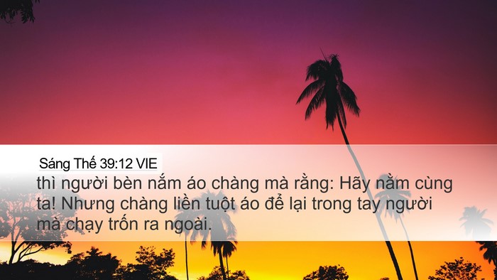 Sáng Thế 39:12 VIE Bible Verse Image