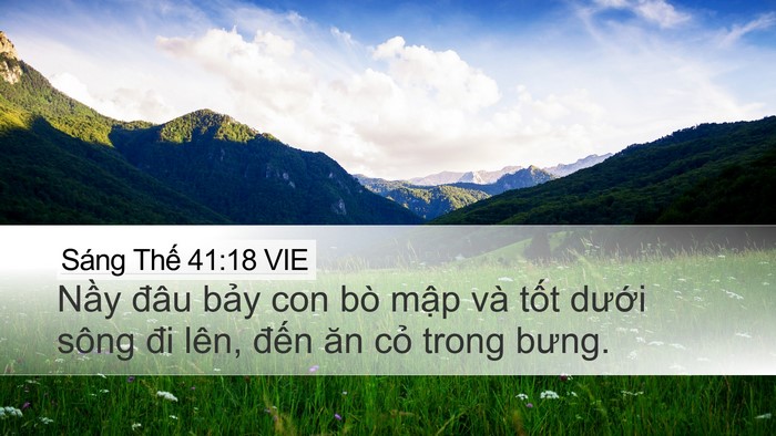 Sáng Thế 41:18 VIE Bible Verse Image