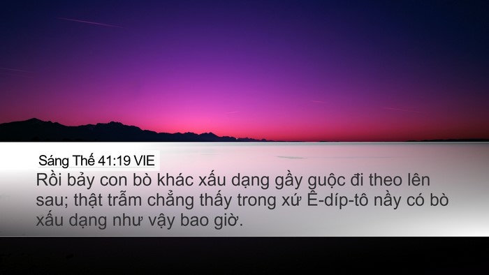 Sáng Thế 41:19 VIE Bible Verse Image