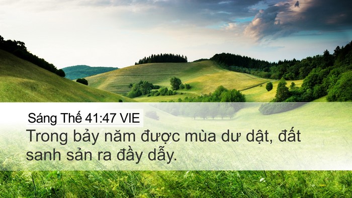 Sáng Thế 41:47 VIE Bible Verse Image