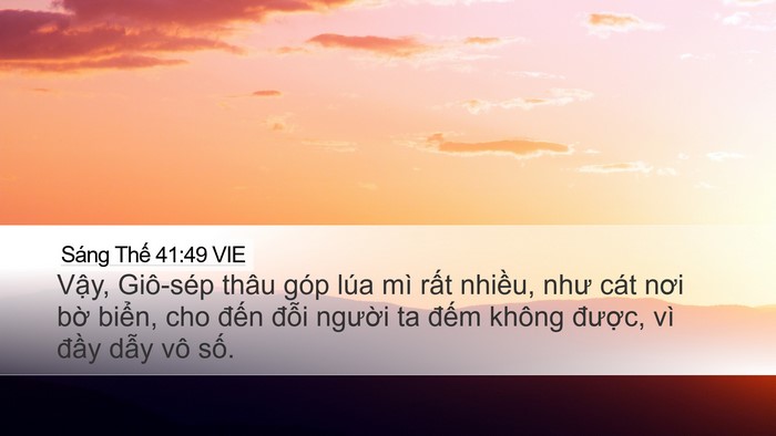 Sáng Thế 41:49 VIE Bible Verse Image