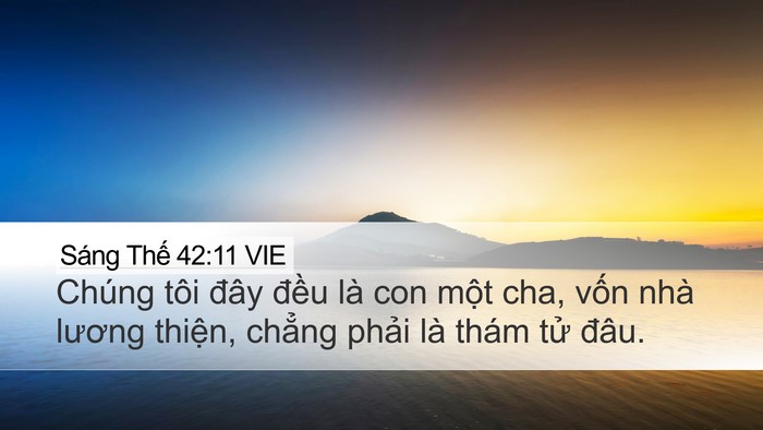 Sáng Thế 42:11 VIE Bible Verse Image