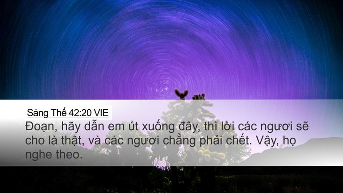 Sáng Thế 42:20 VIE Bible Verse Image
