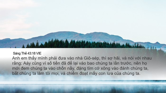 Sáng Thế 43:18 VIE Bible Verse Image