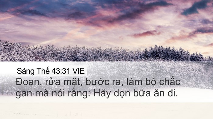 Sáng Thế 43:31 VIE Desktop Wallpaper - Đoạn, rửa mặt, bước ra, làm bộ - Desktop Bible Verse Wallpaper