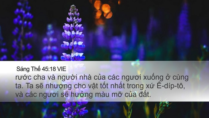 Sáng Thế 45:18 VIE Bible Verse Image