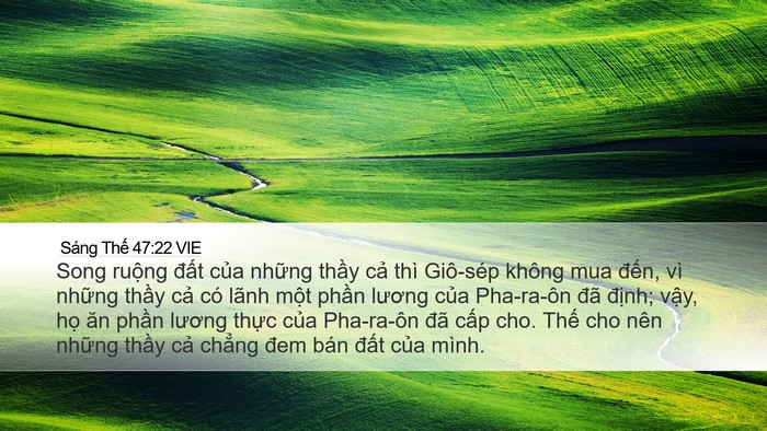 Sáng Thế 47:22 VIE Bible Verse Image