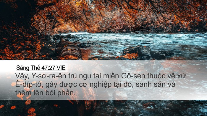 Sáng Thế 47:27 VIE Bible Verse Image