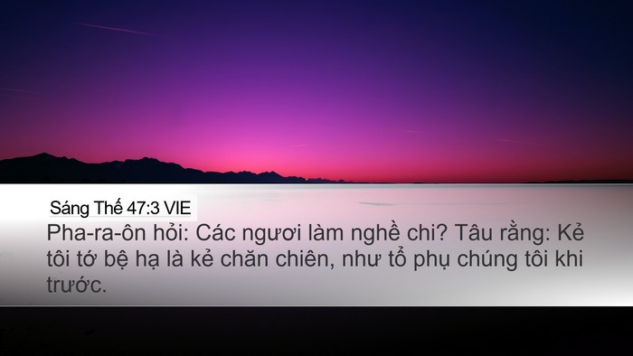 Sáng Thế 47:3 VIE Bible Verse Image
