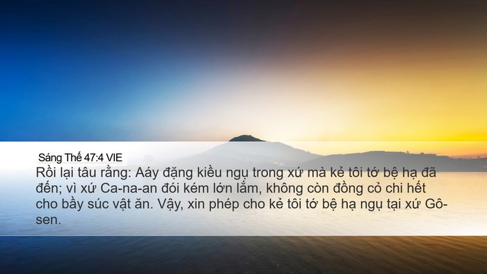 Sáng Thế 47:4 VIE Bible Verse Image