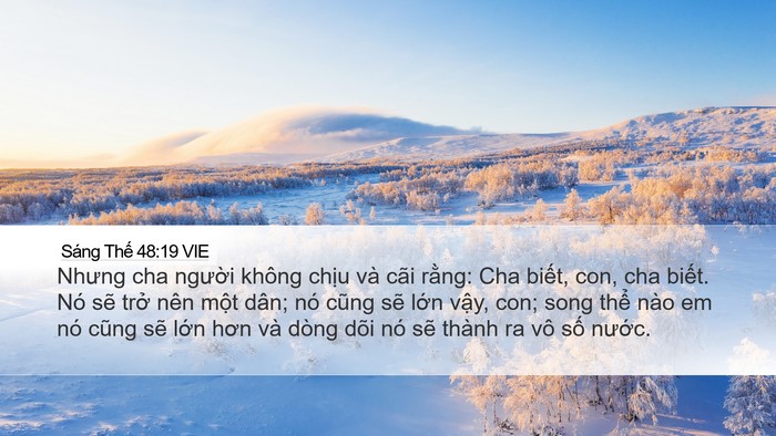 Sáng Thế 48:19 VIE Bible Verse Image