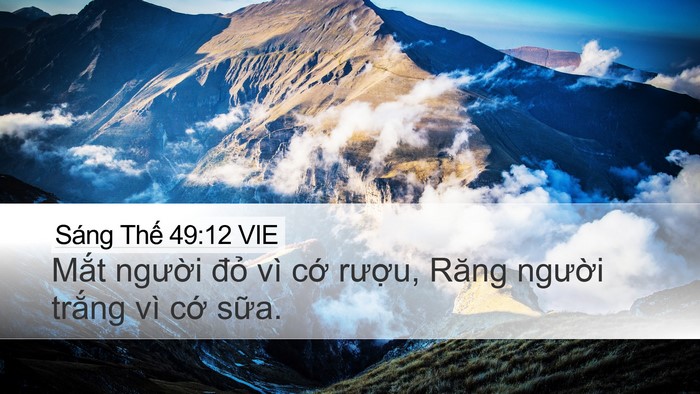 Sáng Thế 49:12 VIE Bible Verse Image