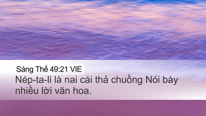 Sáng Thế 49:21 VIE Bible Verse Image